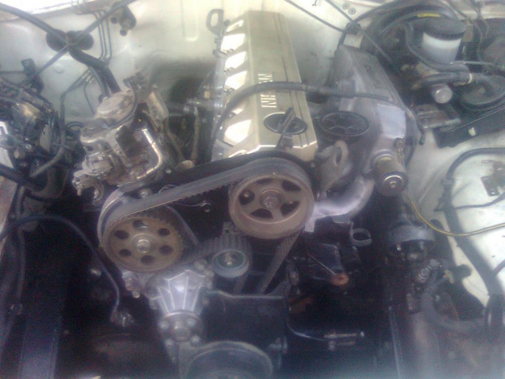 Image0571.thumb.jpg.6334c99e711ef3dfe0849fe9d0c6057a.jpg