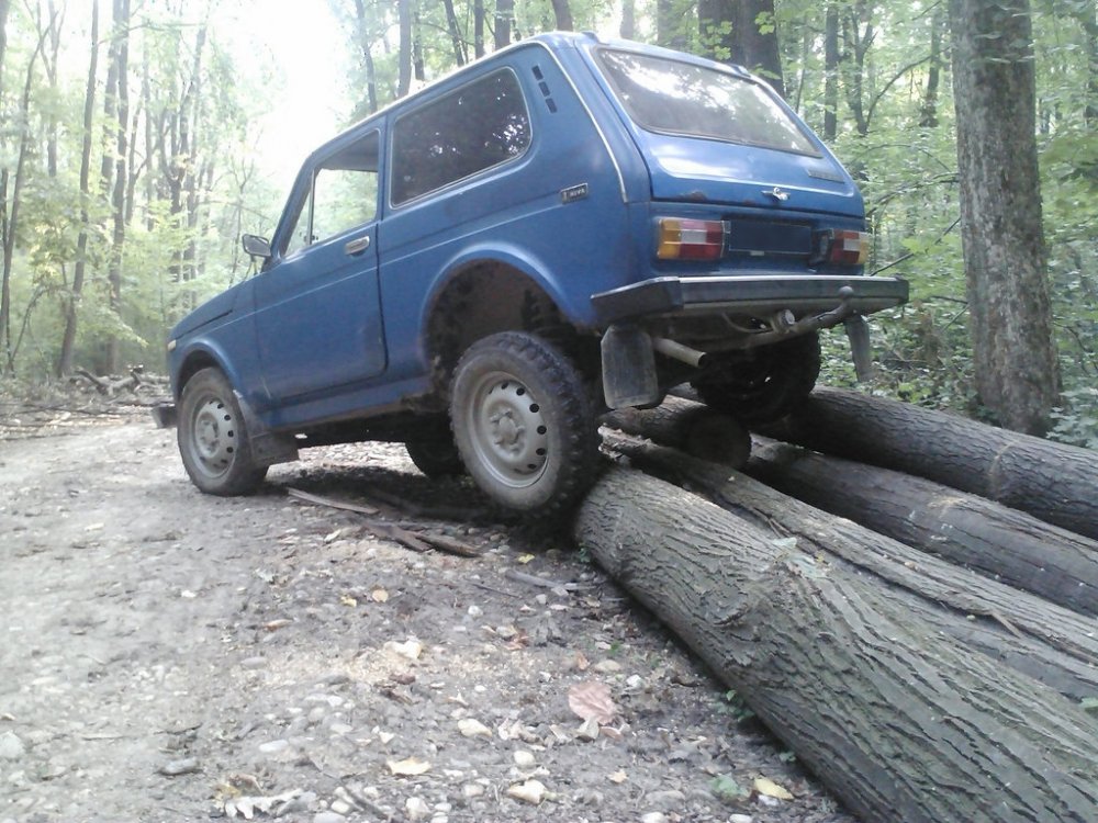 Niva4.thumb.jpg.67ddc81726aad743e5a1758df23f6419.jpg