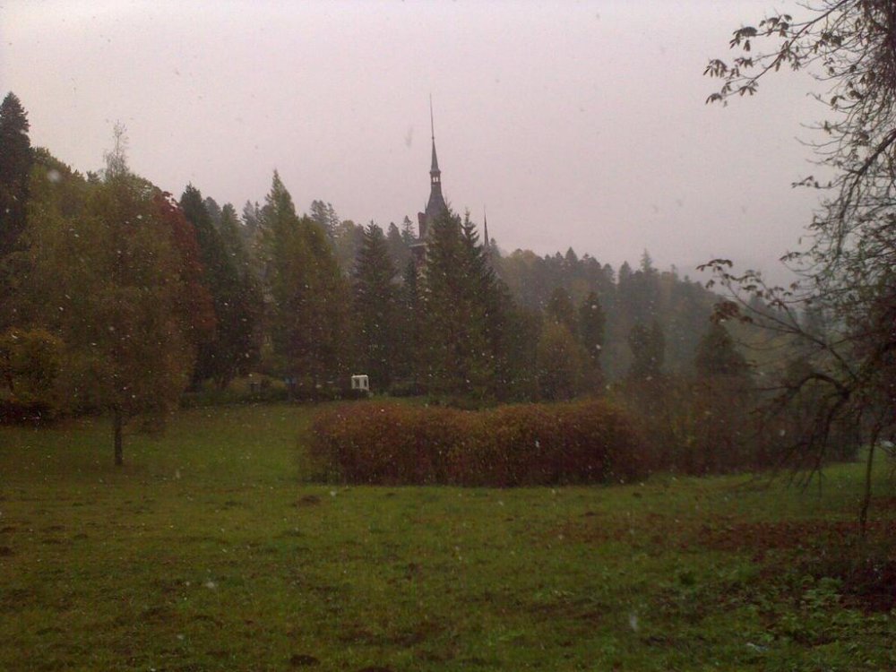 Ovi22539.thumb.jpg.45bcb51360d9fbe009bfa960f4c7ba67.jpg