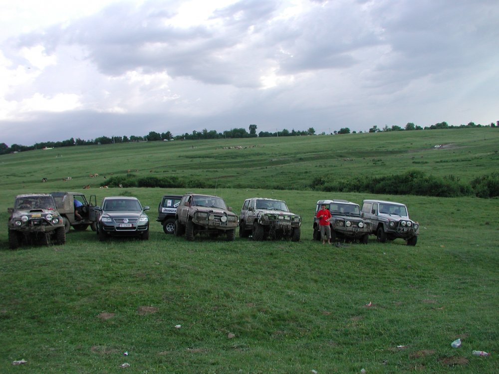 P1010085.thumb.JPG.ea370d491a9ffaac88f7af37e34a8d70.JPG