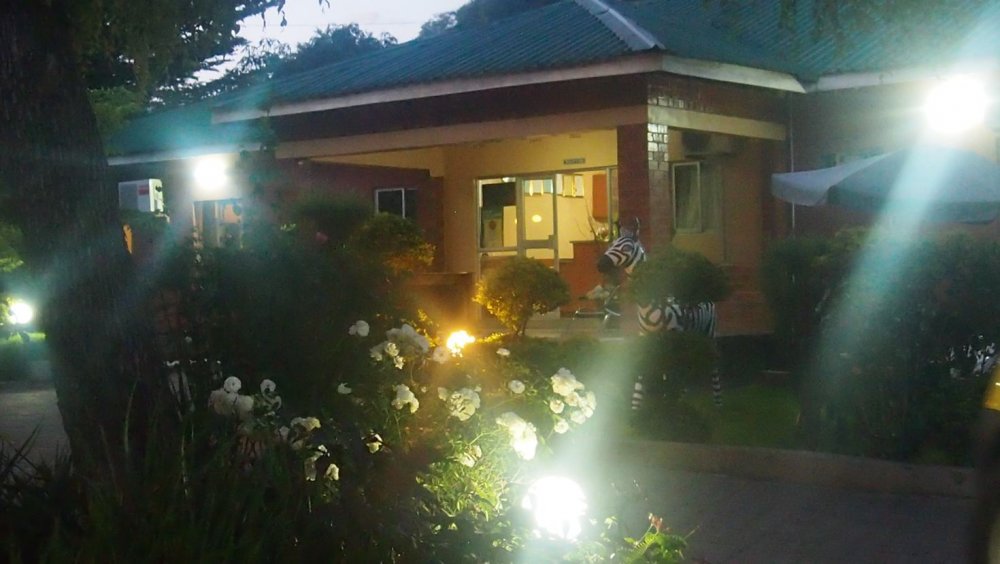 P4211201.thumb.jpg.0851d71d0ae5e1db30bcfbd07513947f.jpg