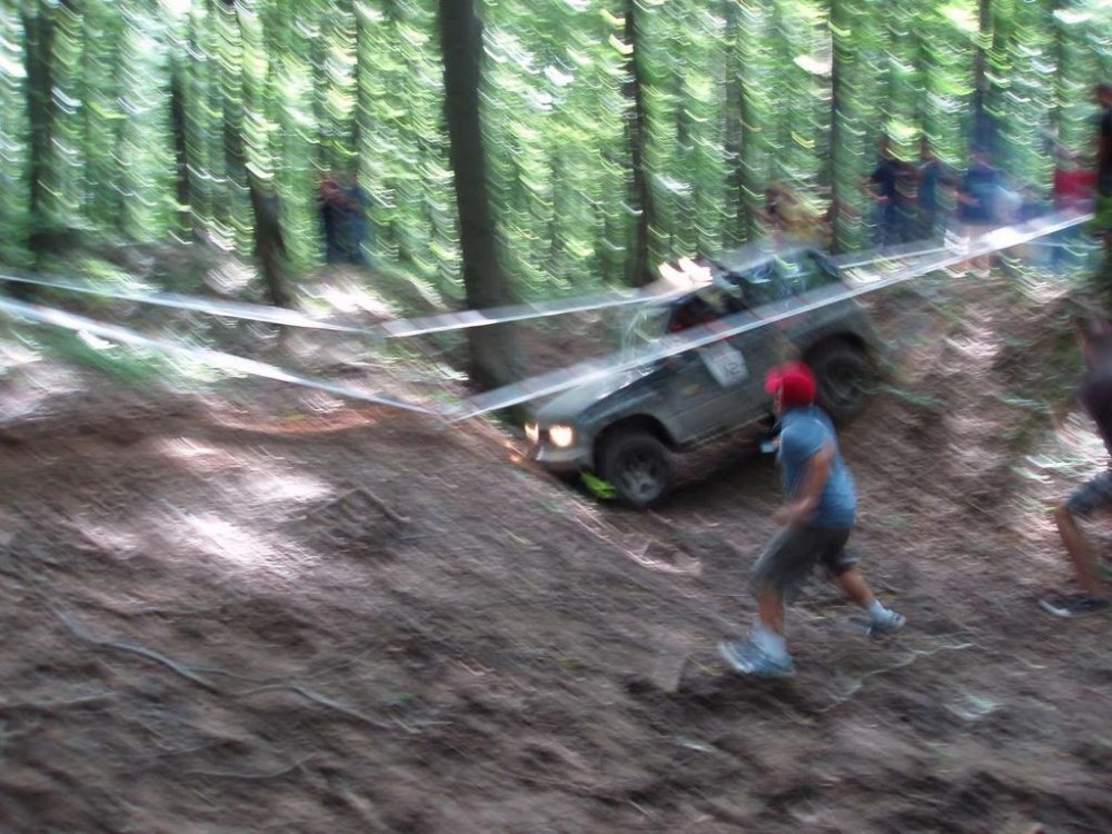 P8133950-K200.thumb.jpg.4815cf30bee68f1f9693c4ee6a2997d2.jpg