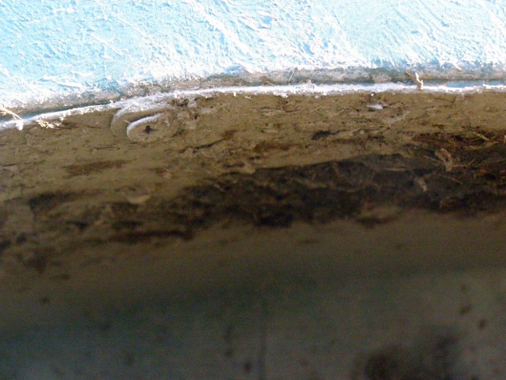 PA035214.thumb.jpg.e4a286db5e5e8df3355f3c63acb3e1d5.jpg