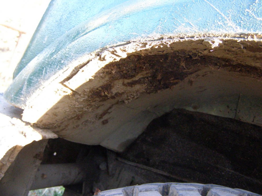PA035216.thumb.jpg.f6fc4e94c4670e31df99311dce77e644.jpg