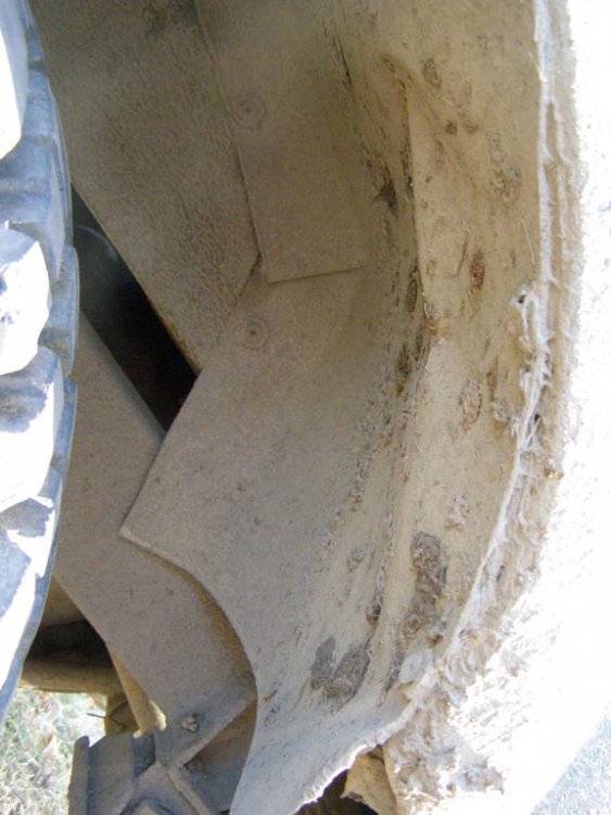 PA035218.thumb.jpg.3ad0df52c72d7dbe1adfff16c4da56c0.jpg