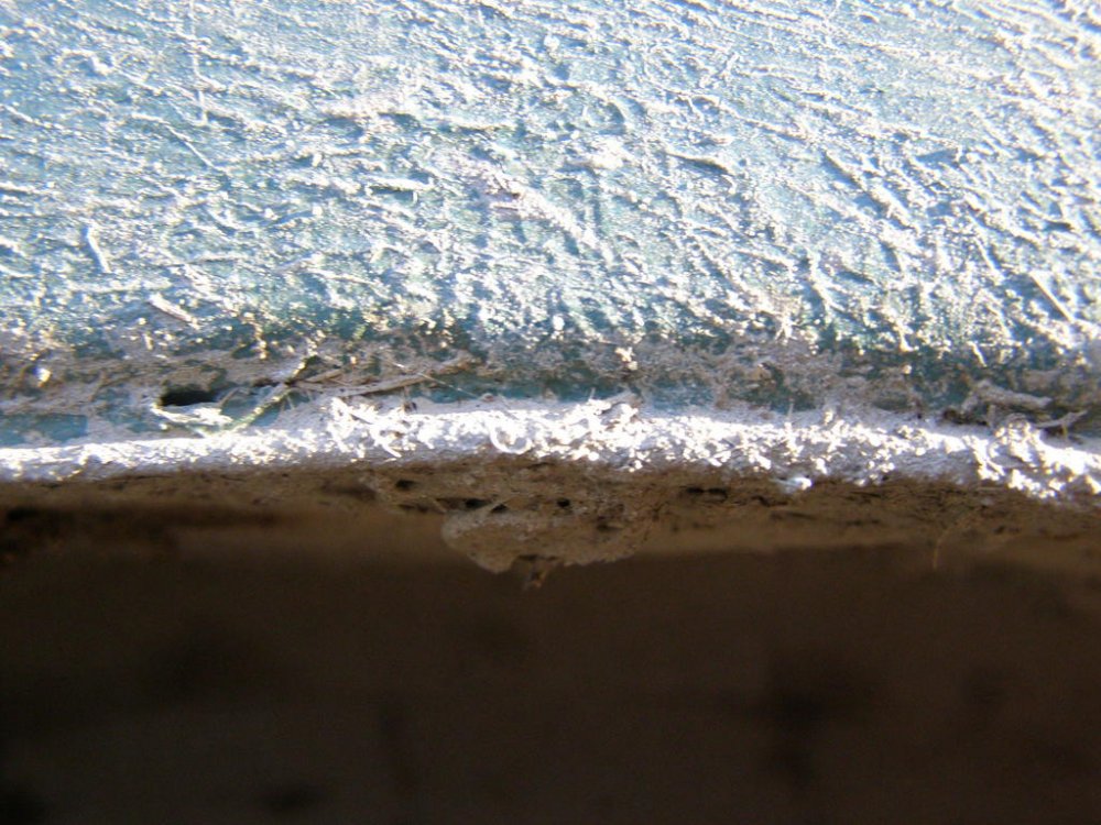PA035219.thumb.jpg.0d450cec6ae30657bdd10d17ace05575.jpg