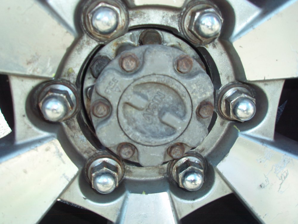 PA060017.thumb.JPG.08204488c65a94f96f5bcd8a21a2eec4.JPG