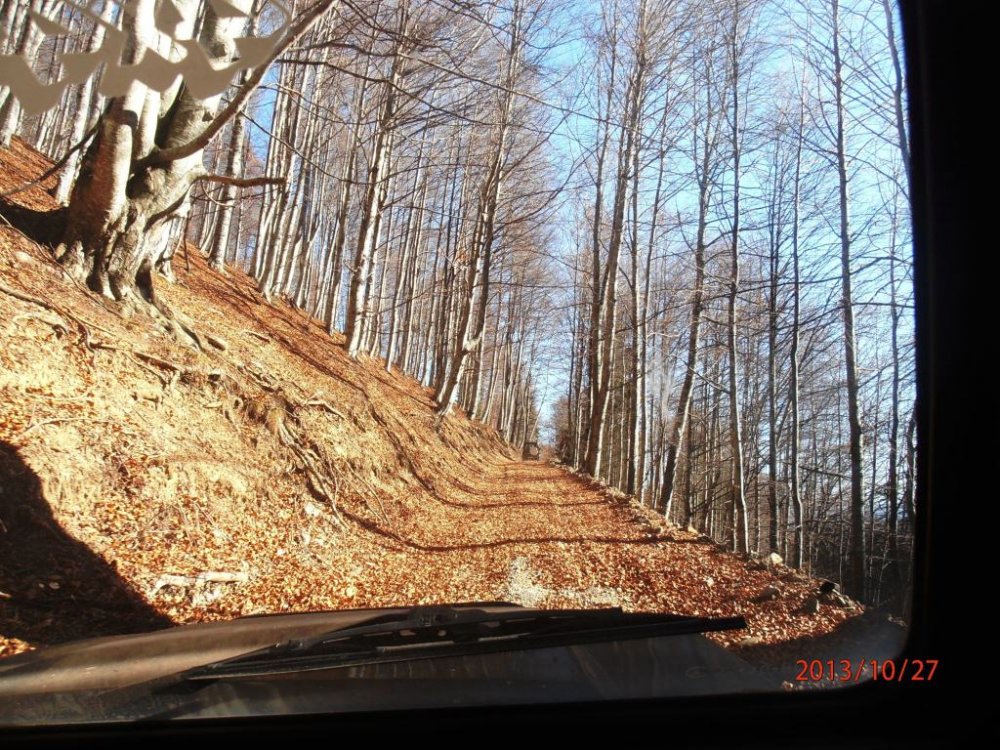 PA270059.thumb.JPG.65c80b6a3edc05c1e31ed02d71c75288.JPG