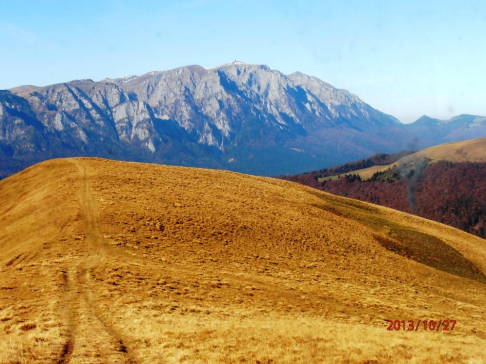 PA270164.thumb.JPG.f6cb29d2d09a99f208332d2add7fb856.JPG