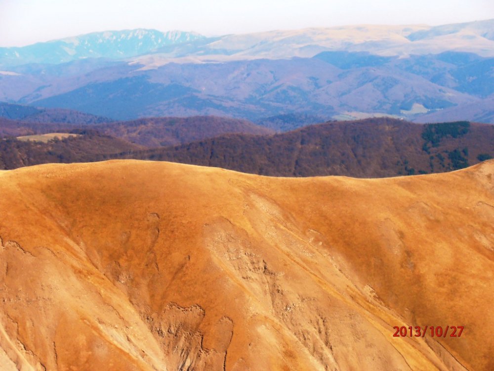 PA270171.thumb.JPG.0ec51d9a59480a29b5cd3449e6416734.JPG