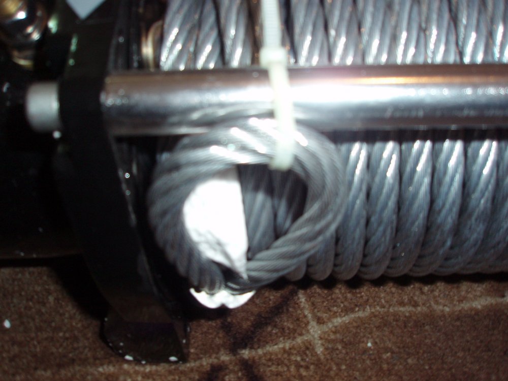 PB250026.thumb.JPG.9bba988ff747c4132944b5d82f298cf0.JPG