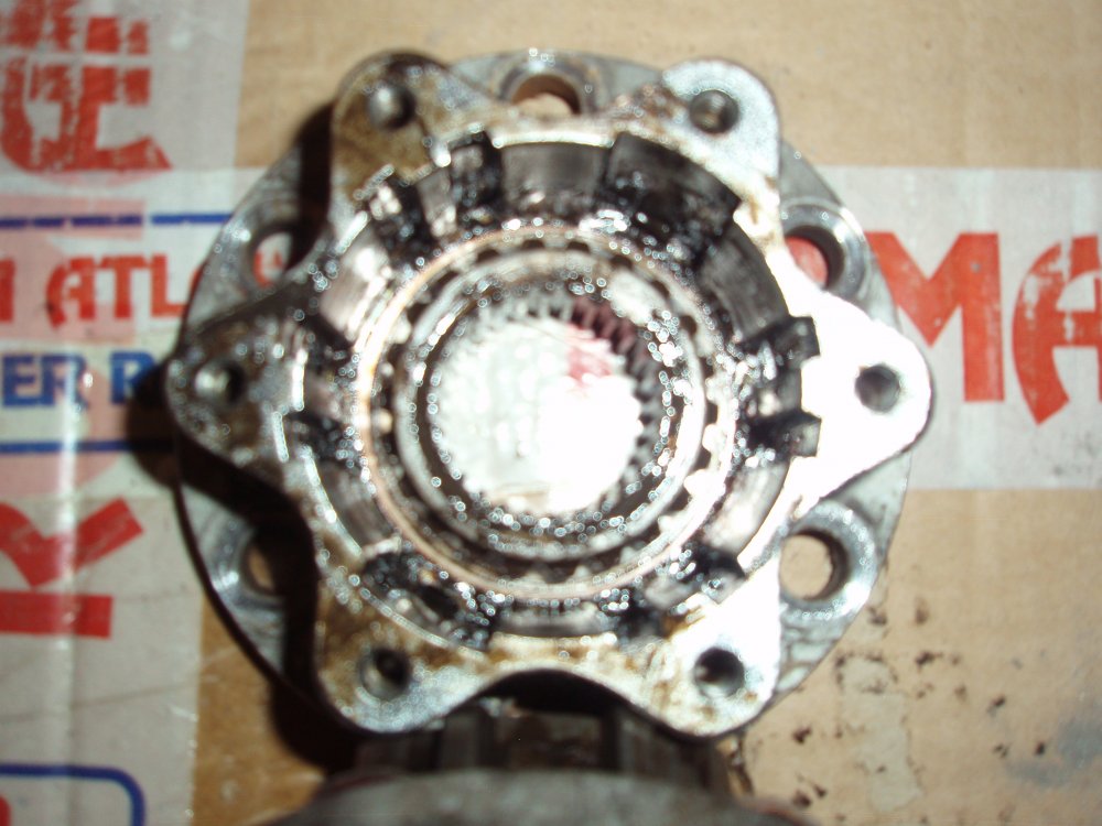 PB250043.thumb.JPG.9b560c97443dc434446e2a908888fe00.JPG