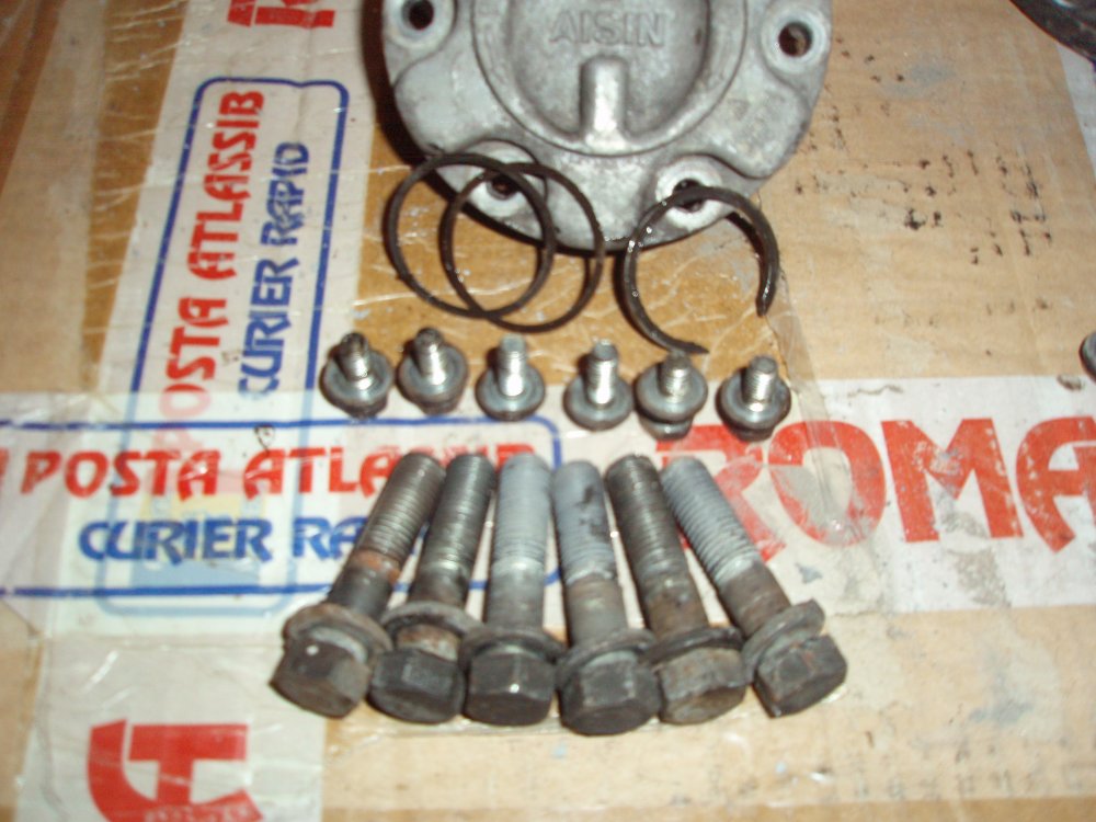 PB250045.thumb.JPG.0a445c01dbac8b1e30f0c68f1ed06a19.JPG