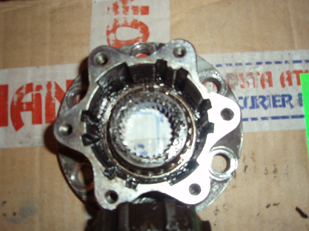 PB250048.thumb.JPG.022f9ee59c242719260f02f67e409333.JPG