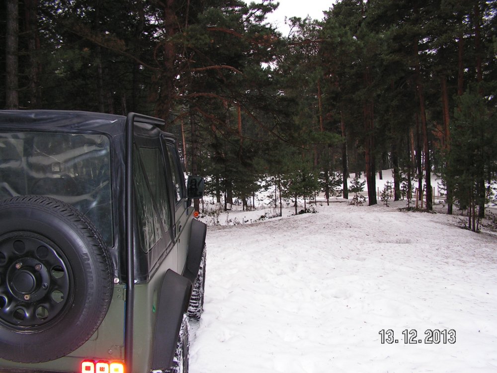 PICT6786.thumb.JPG.a8d503fddf6143051e8bd51970d5e884.JPG
