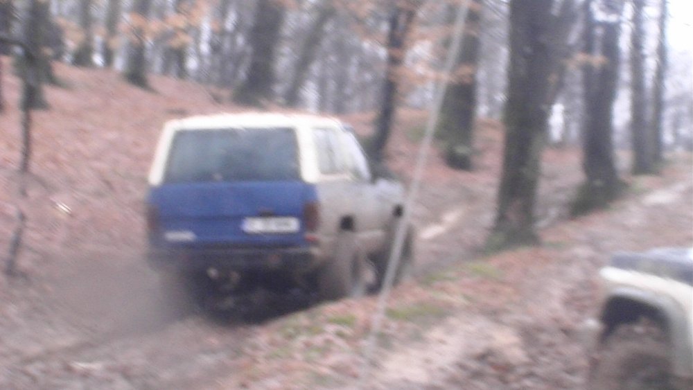 PIC_3100.thumb.JPG.b467ee26972836c15380a31e983845ae.JPG