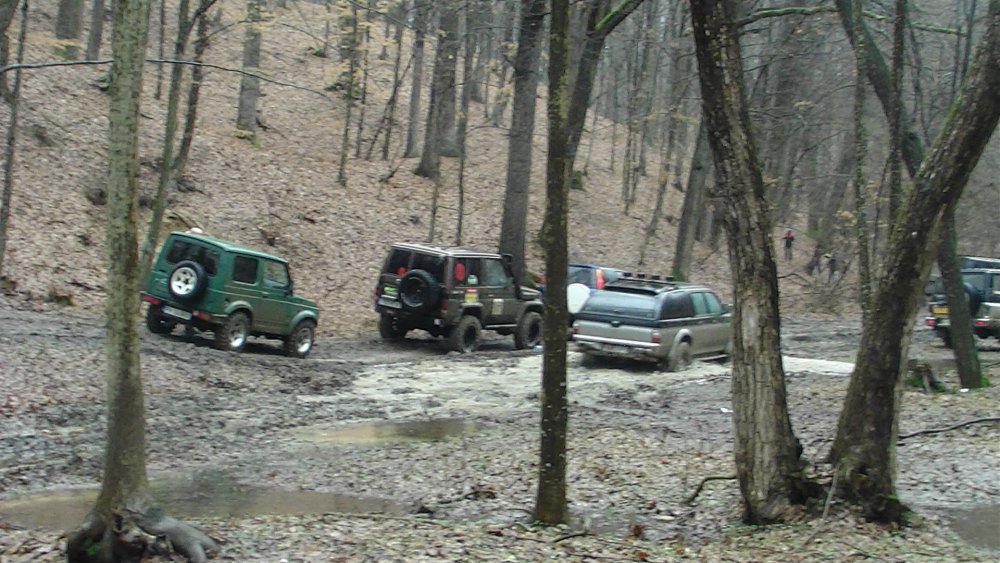 PIC_3137.thumb.JPG.0bf968d945cff8213f7056b395a0d66b.JPG