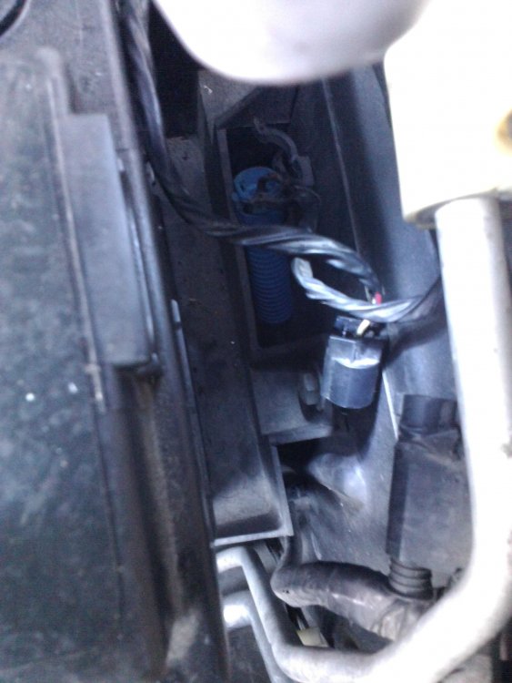 P_20140518_062218.thumb.jpg.3a92b4a74a782125912beea3faacc674.jpg