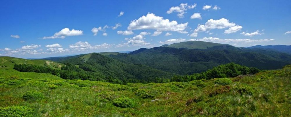 Panorama1.thumb.jpg.5ac262381e4a097bbac39b14212e2fd0.jpg