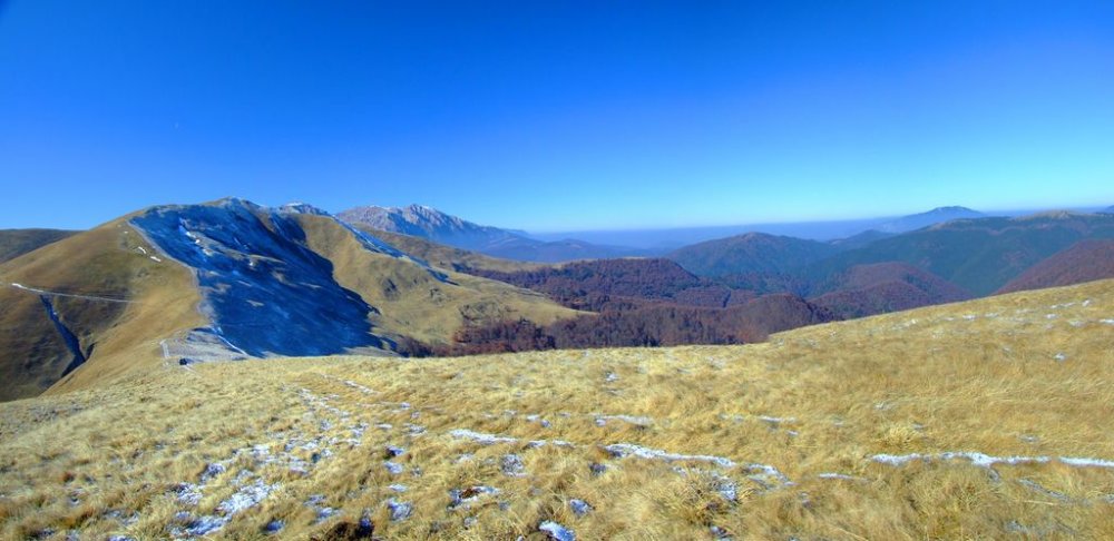 Panorama1.thumb.jpg.62a89dfab3c15855fe12b5d332f629ca.jpg