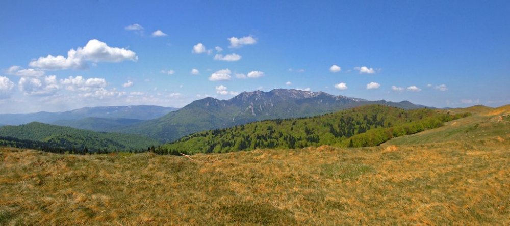 Panorama1.thumb.jpg.af7a9371d8c8145795a49ae2ce593263.jpg