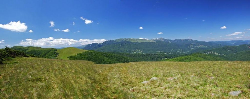 Panorama2.thumb.jpg.c57394f96902b37ae6098dcf4d21f2fd.jpg