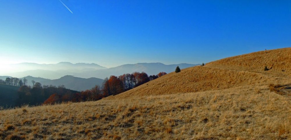 Panorama2.thumb.jpg.dc458732ae3f764973c230ed460df059.jpg