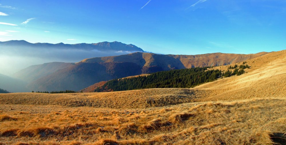 Panorama3.thumb.jpg.a457c962b113d76cfe2619affaddd9b6.jpg