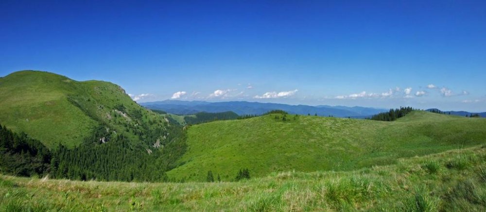 Panorama4.thumb.jpg.2837a00c7edb57162e516e9d42abcbb6.jpg