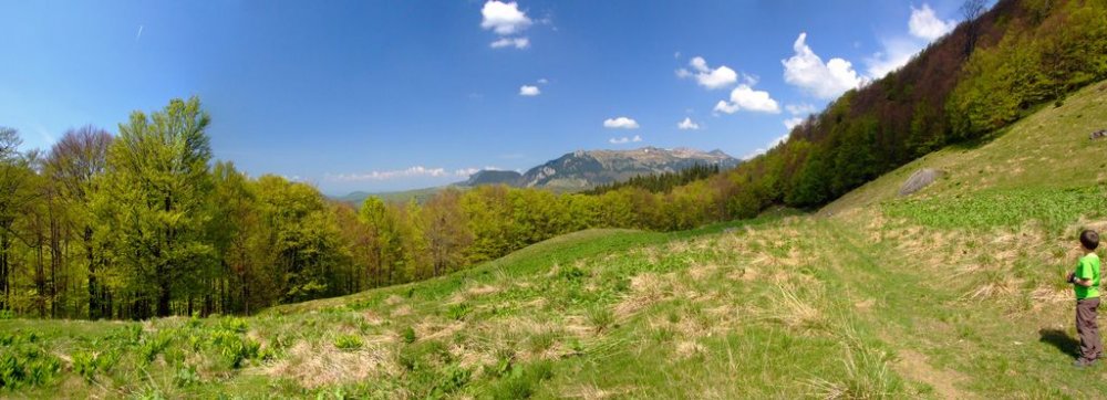 Panorama7.thumb.jpg.119af335ac8d9d6ed6c86e6b81184bd6.jpg