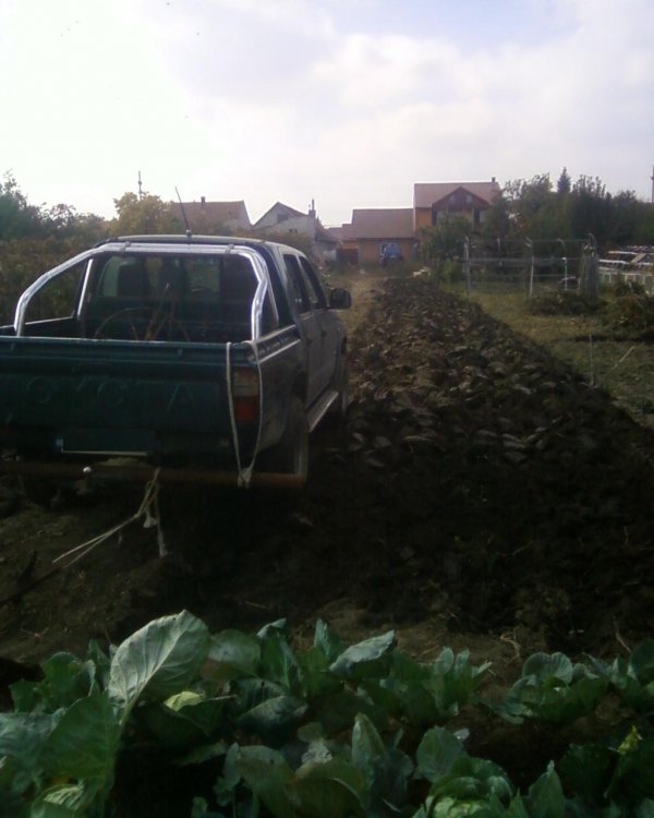 Photo-0001.thumb.jpg.66e77cd6c795bfbf1baedf70c78aac8a.jpg