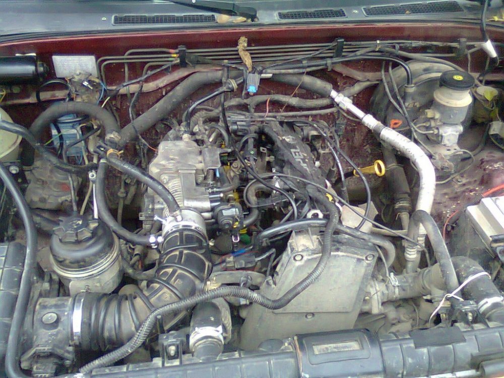Photo0017.thumb.jpg.ff946a74b5d1159d2d62d3a1a35a5bf6.jpg