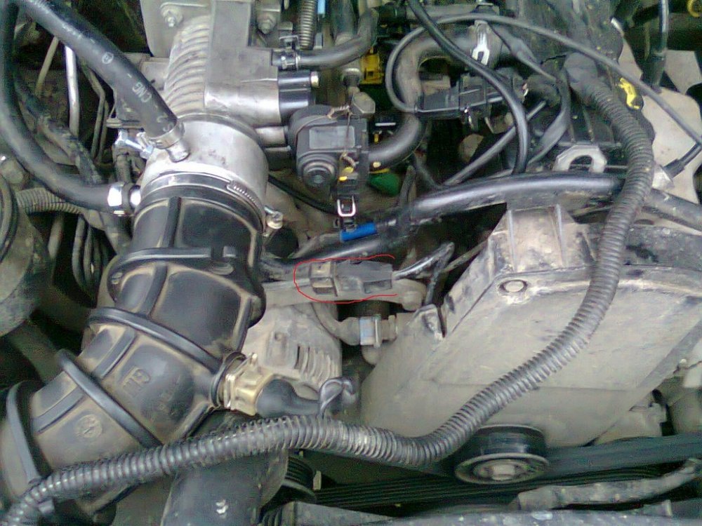 Photo0018.thumb.jpg.5022f4faee25cdb8721773ef9a8e54e0.jpg