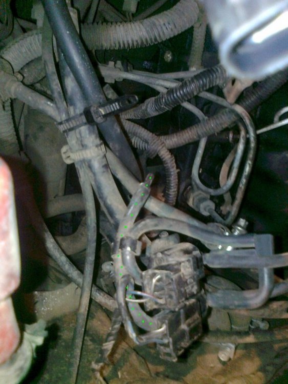 Photo0108.thumb.jpg.51c1de14adef8807b5c9063d4bebd84a.jpg