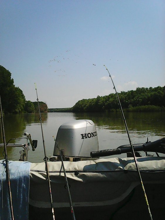 Photo0178.thumb.jpg.869b6d1b3190ab742adcdd1869ff1884.jpg
