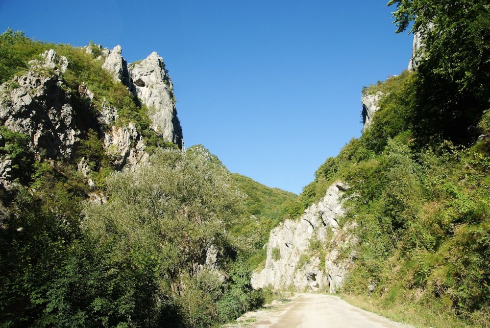 Poza_20130906_165403.thumb.jpg.19962e30bab5e3f4344fd7eb8b3c7a32.jpg