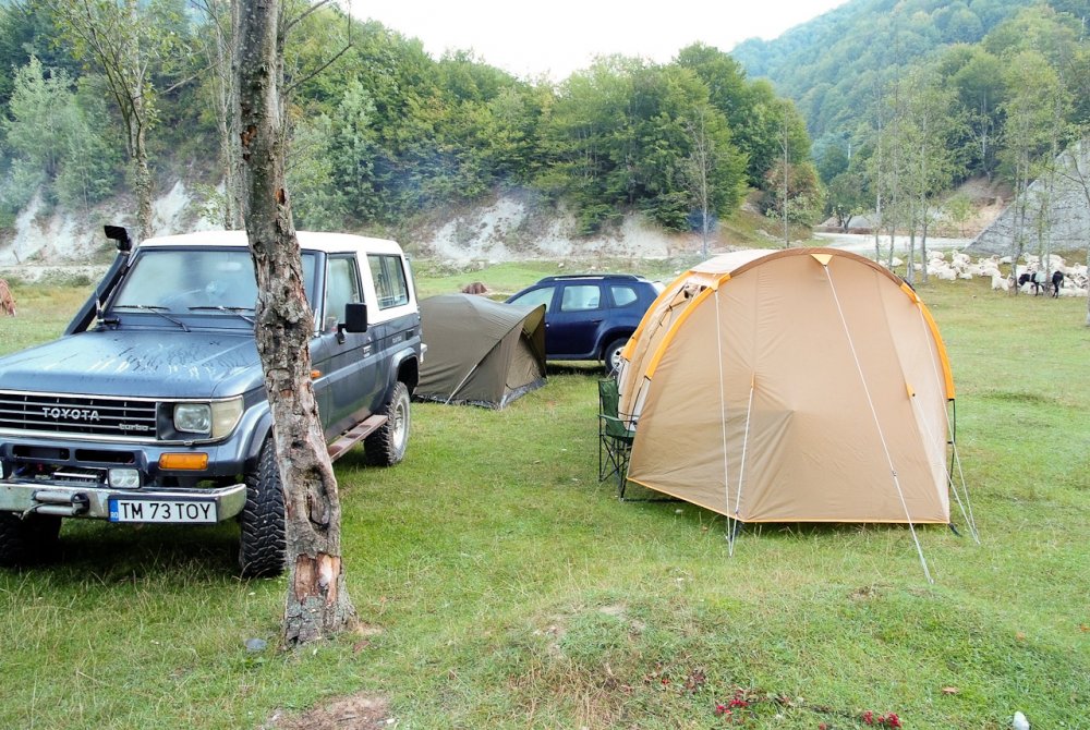 Poza_20130907_063220.thumb.jpg.68ab029fde89004447d1c0f87c08a9ff.jpg
