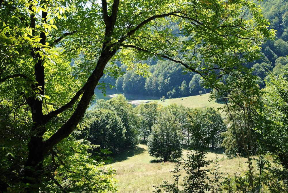 Poza_20130907_124522.thumb.jpg.48daa8d9e488322d4e72fcebf3f6ae69.jpg