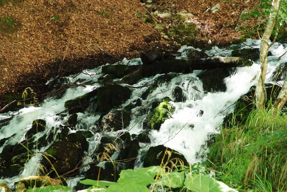 Poza_20130907_132434.thumb.jpg.171c1a4fe8079c5fe8579c9add3177df.jpg