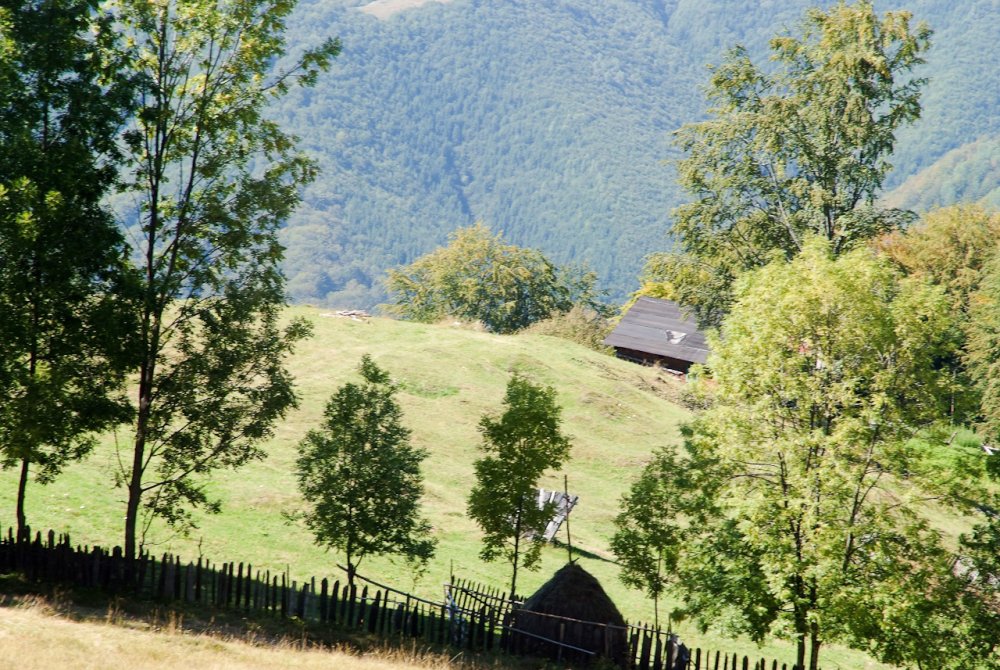 Poza_20130908_110041.thumb.jpg.3af180ff25abf5d4e13cf8cb7535e095.jpg
