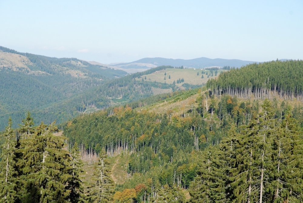 Poza_20130908_164028.thumb.jpg.b2fc8bce15473bca1c545a6bb889828d.jpg