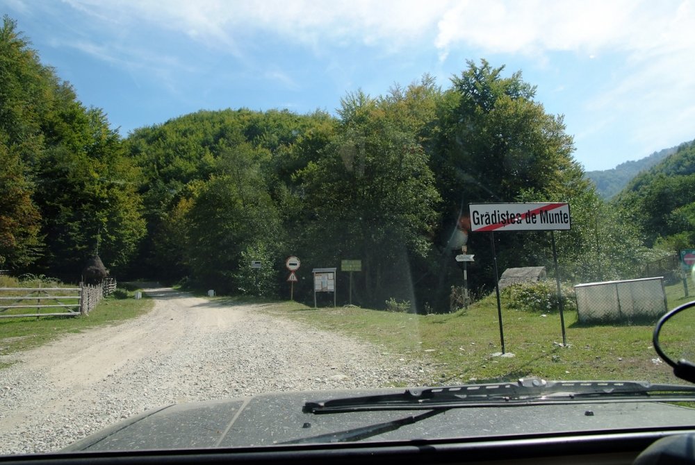 Poza_20130909_112040.thumb.jpg.9b4d92687e87c1dcd864fae0ab134629.jpg