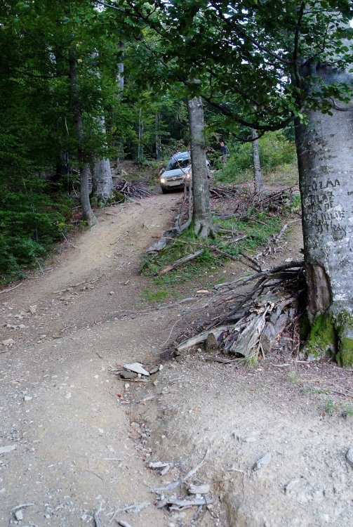 Poza_20130910_175014.thumb.jpg.2eecb2d579cadc25528c8c76099a3d65.jpg