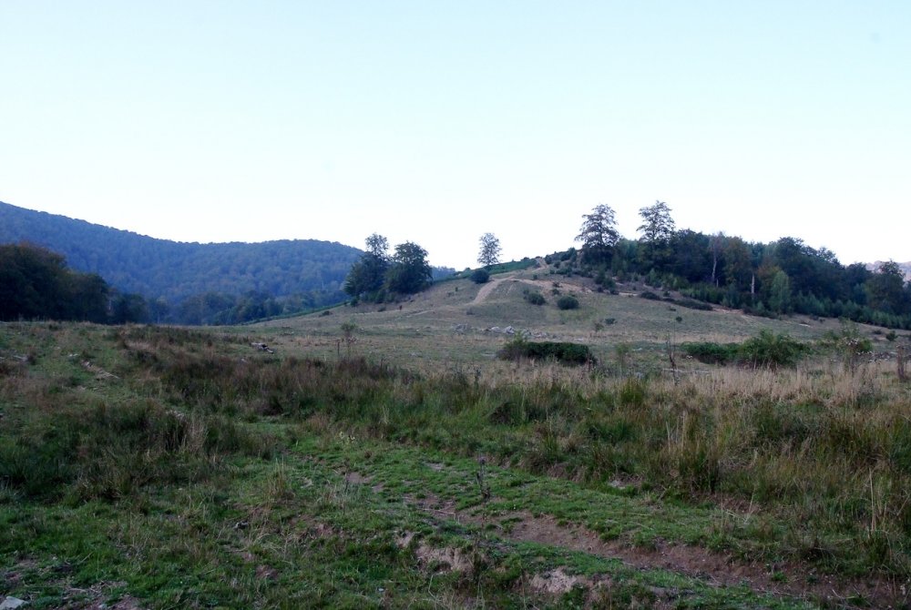 Poza_20130910_180555.thumb.jpg.13a8ced161e5dee986d74934fe26237e.jpg