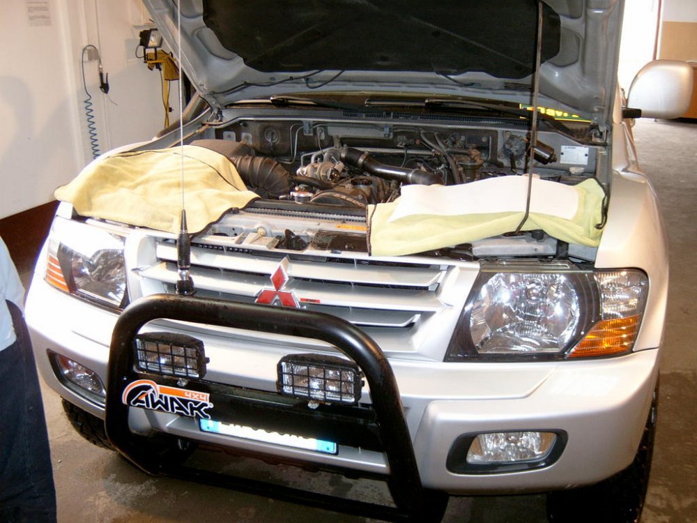 S3500667.thumb.jpg.a503b032724d6b75ad59be094386a183.jpg