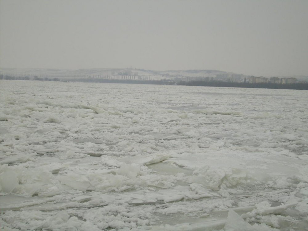 S6302208.thumb.jpg.42539ccdd5922b77bfe08e0c19044198.jpg