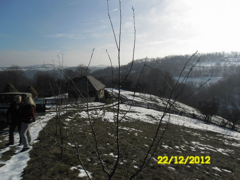 SAM_1113.thumb.jpg.b03cd67ed87e5d82db871279cbbe00c6.jpg