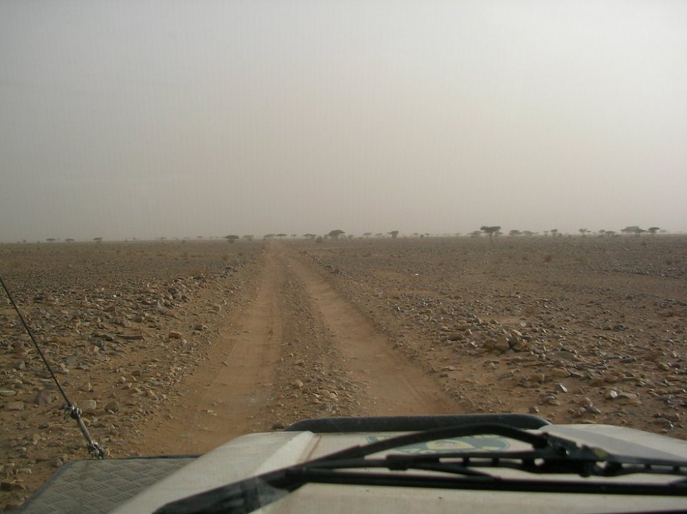 SANY0342.thumb.jpg.b817bdb07aa2deeb02fea36f7fbd5edf.jpg
