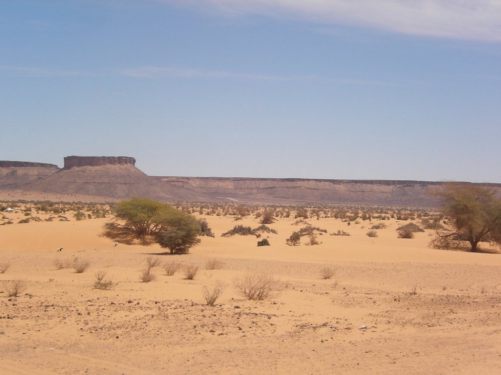SANY0485.thumb.jpg.5931640122f6e0a53dc254104c85f619.jpg