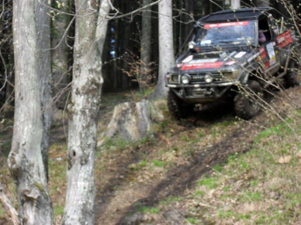 SDC14429.thumb.jpg.c92cbaa8c0bac757306f8715b70f2ab3.jpg